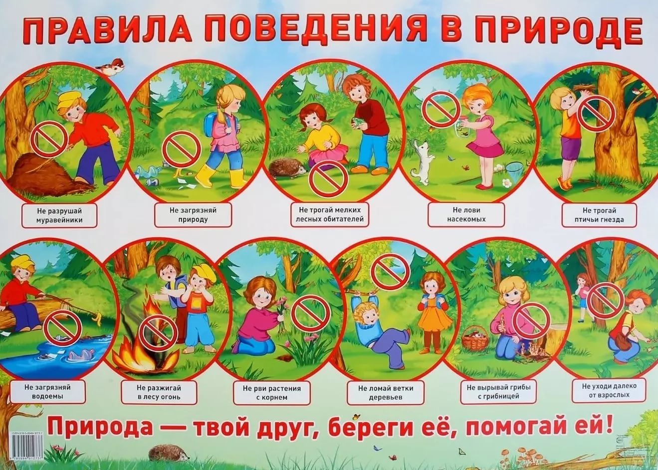 поведение_в_природе.jpg